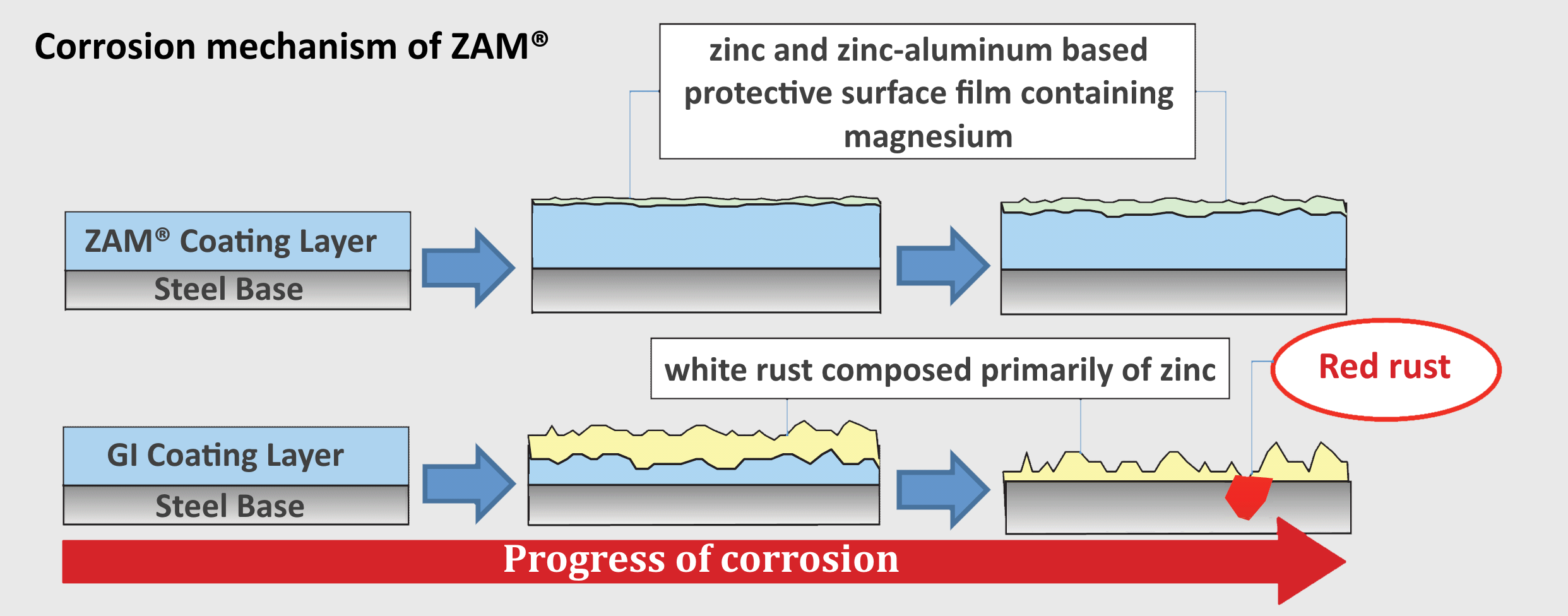Illustration of the slower progress of corrosion of ZAM as compared to Galvanized